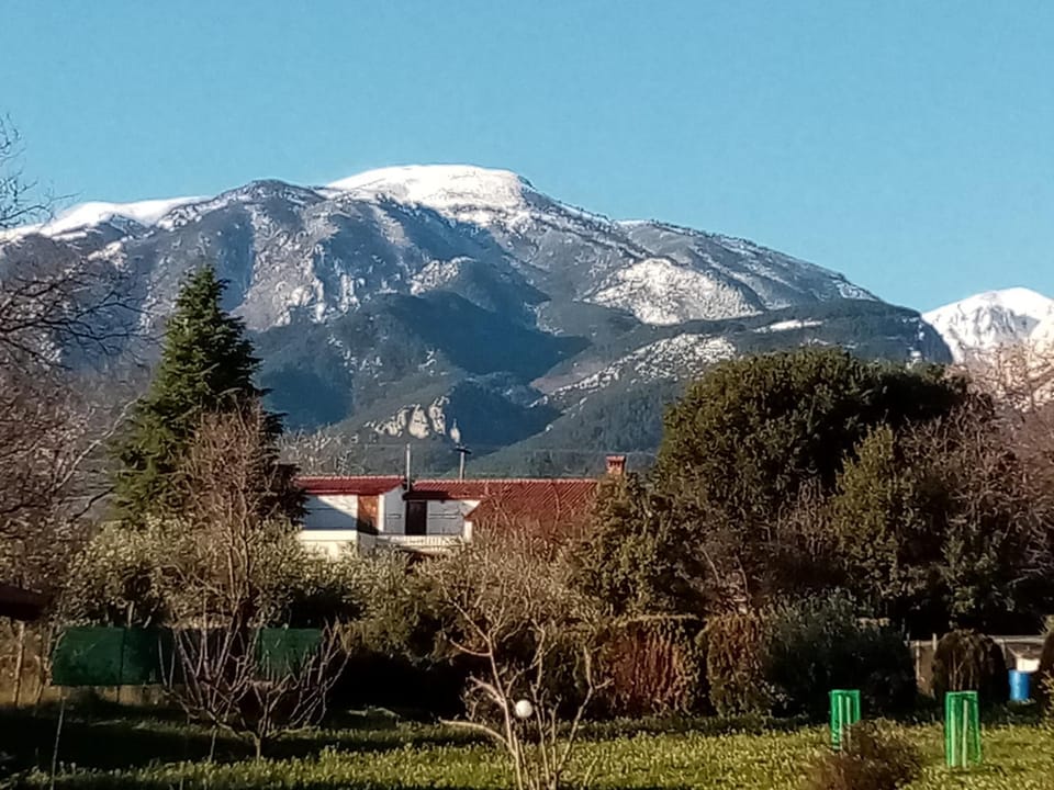 Nearby landmark, Winter, Garden view, Mountain view