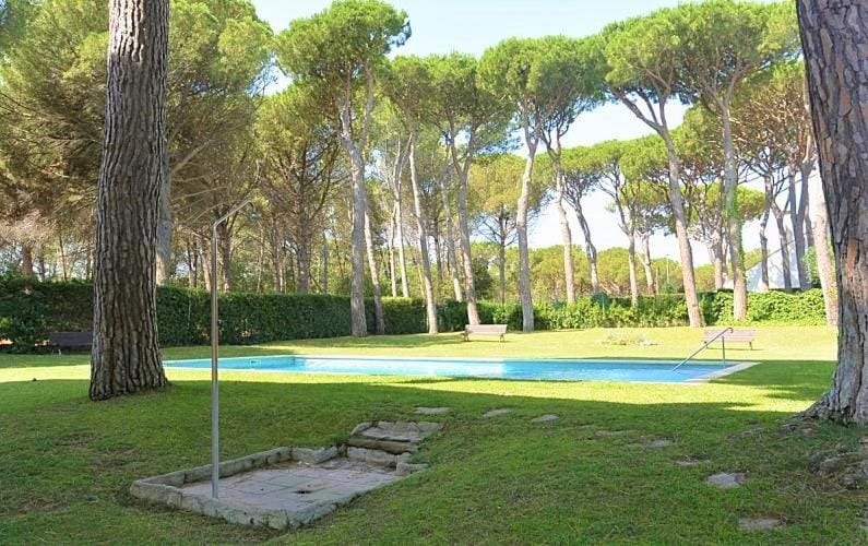 Garden, Swimming pool