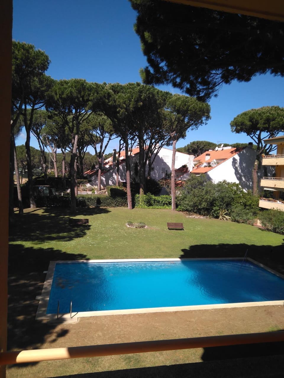 Swimming pool, Swimming pool