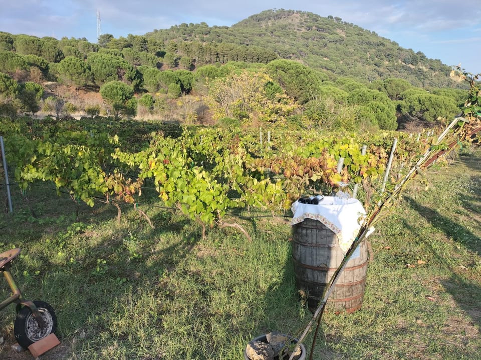 Etnasentieri Wine house on Etna mount House in Belpasso