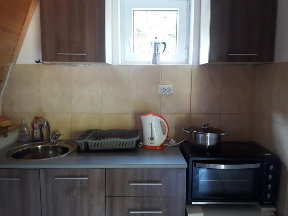 Vili Bilyana House in Serbia