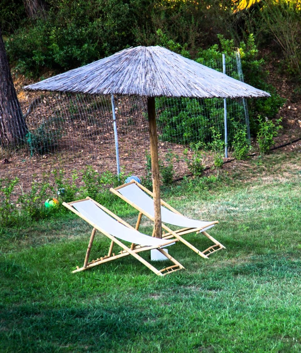 Patio, Garden