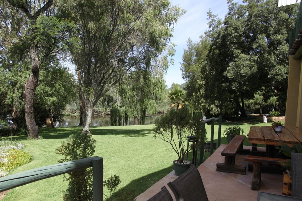 Patio, Garden view