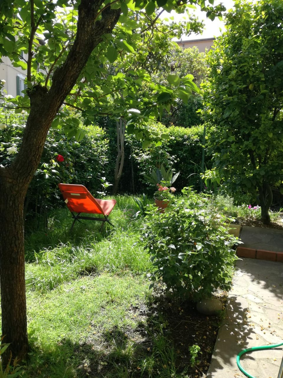 L'Olivo B&B Bed and Breakfast in La Spezia