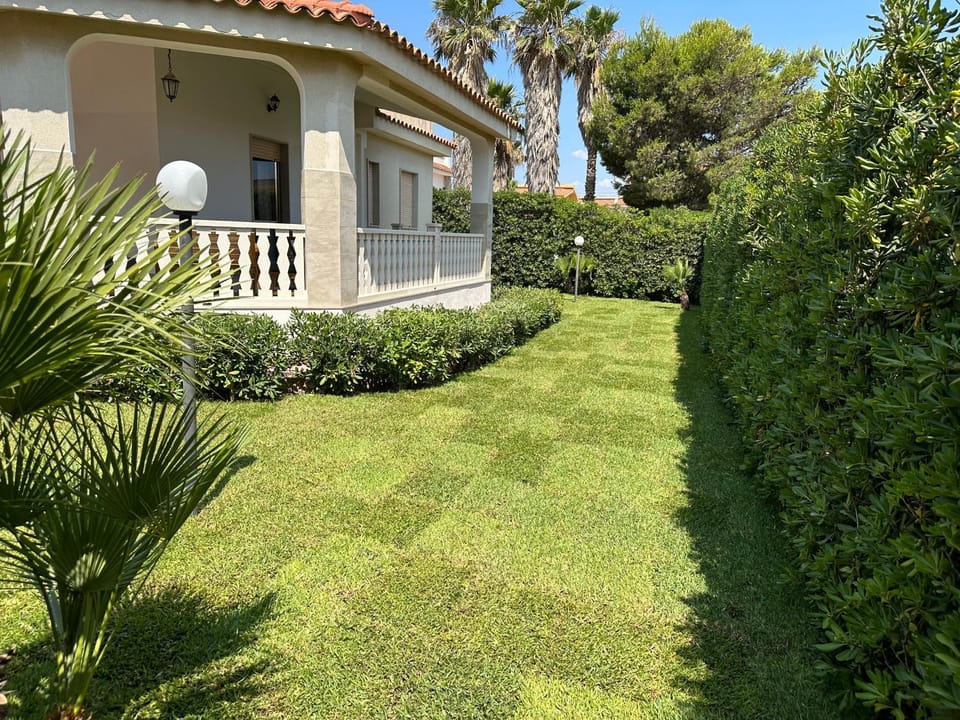 Garden view