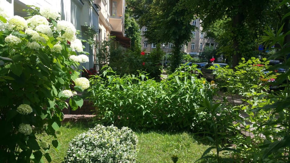 Neighbourhood