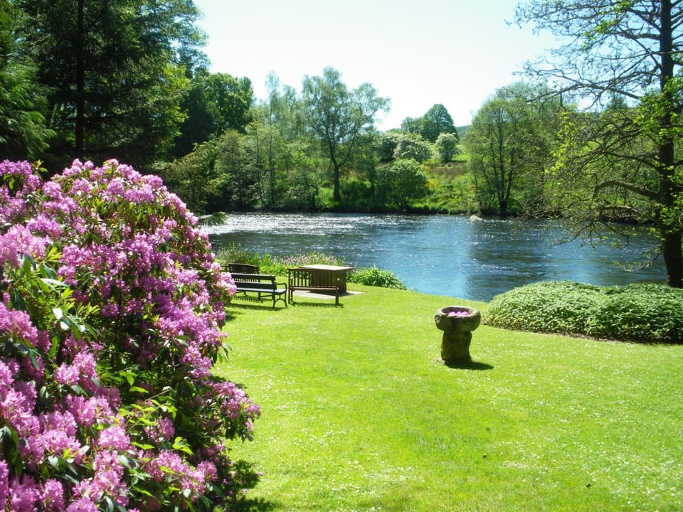 Garden, Garden
