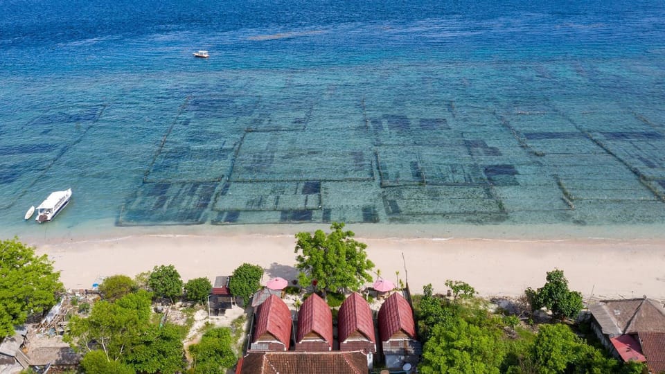 Natural landscape, Bird's eye view, Beach, Sea view