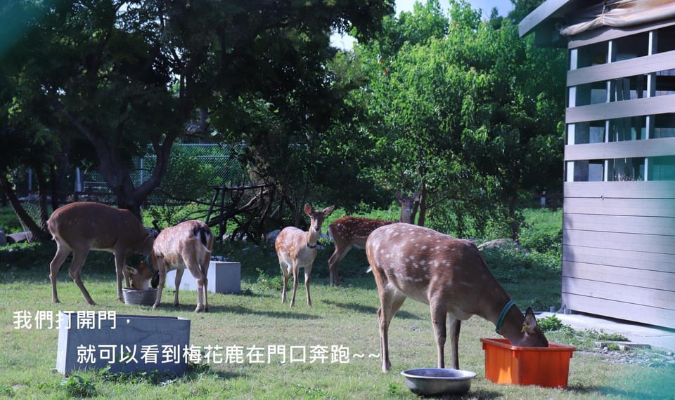 Natural landscape, Animals