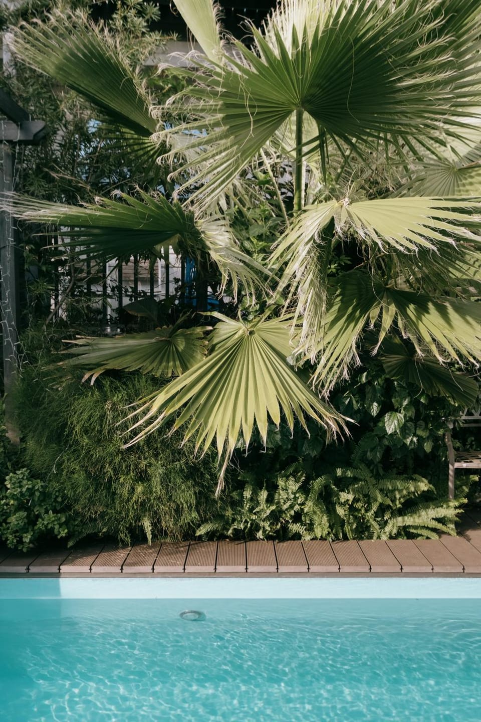 Kamakura Private Pool & Sauna Villa - Casablanca Pool House Villa in Kanagawa Prefecture
