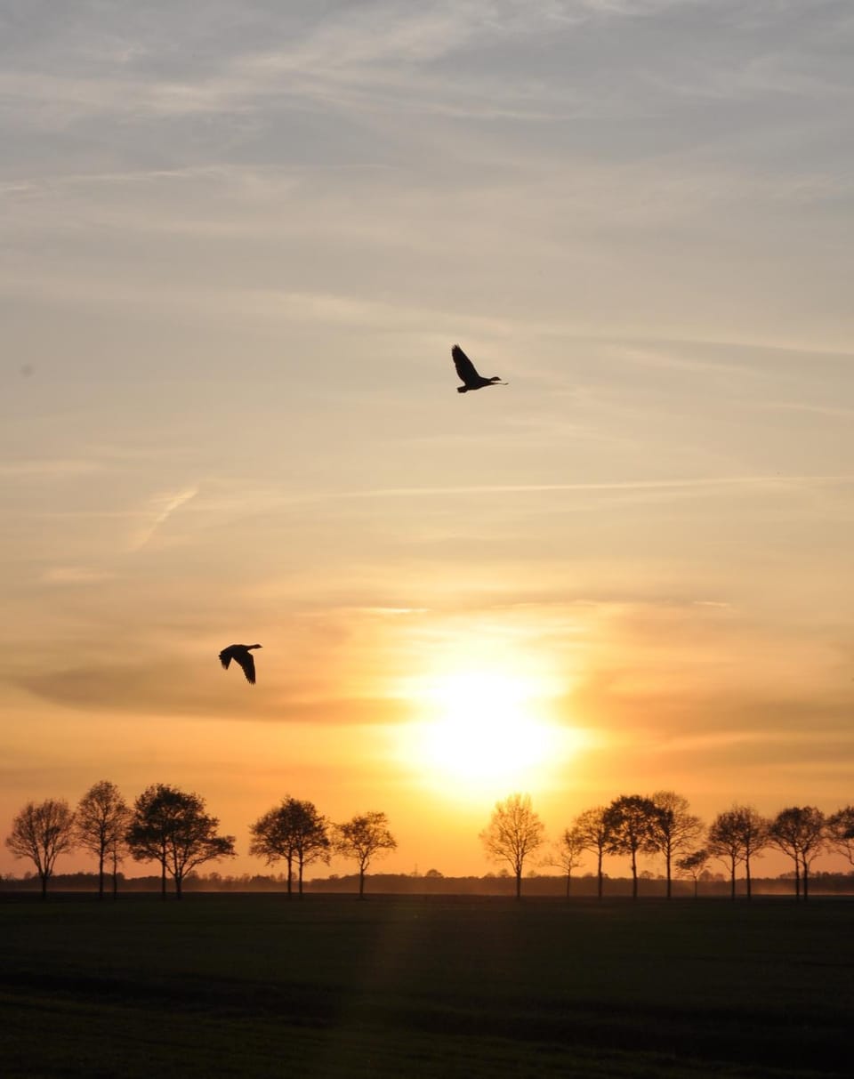 Natural landscape, Sunset