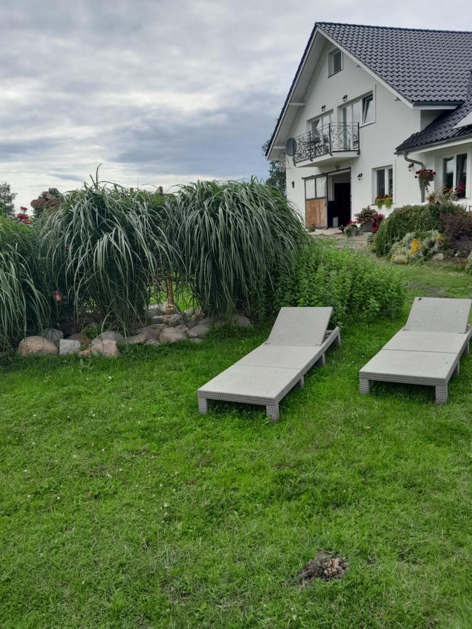 Property building, Natural landscape, Garden, sunbed