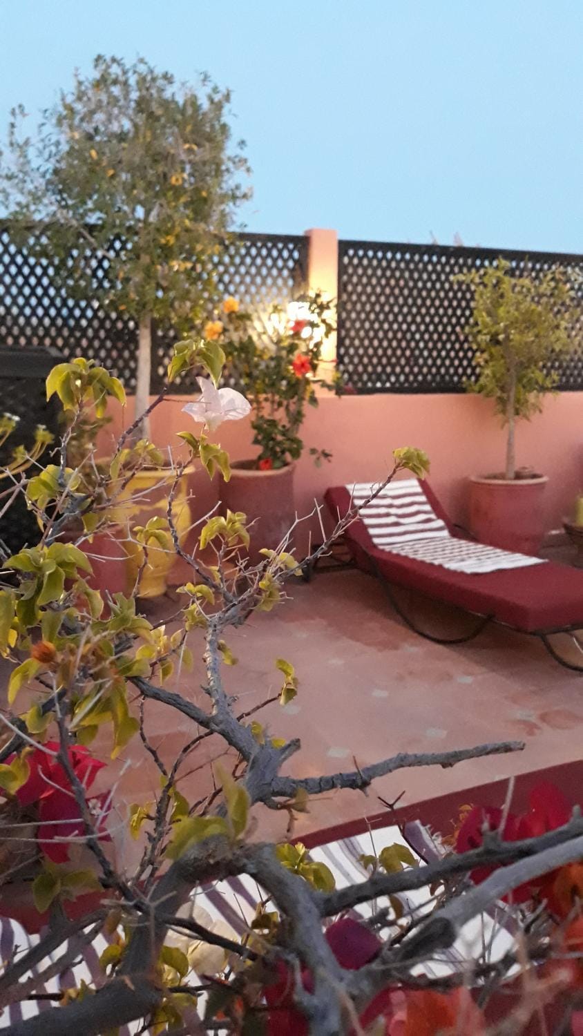 Property building, Patio, Solarium