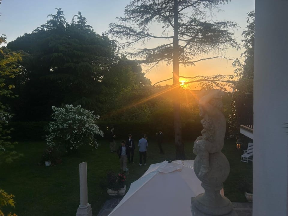 Garden, Garden view, Sunset