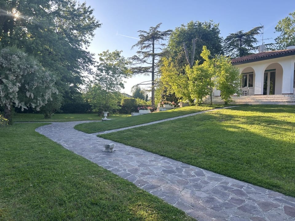 Garden view