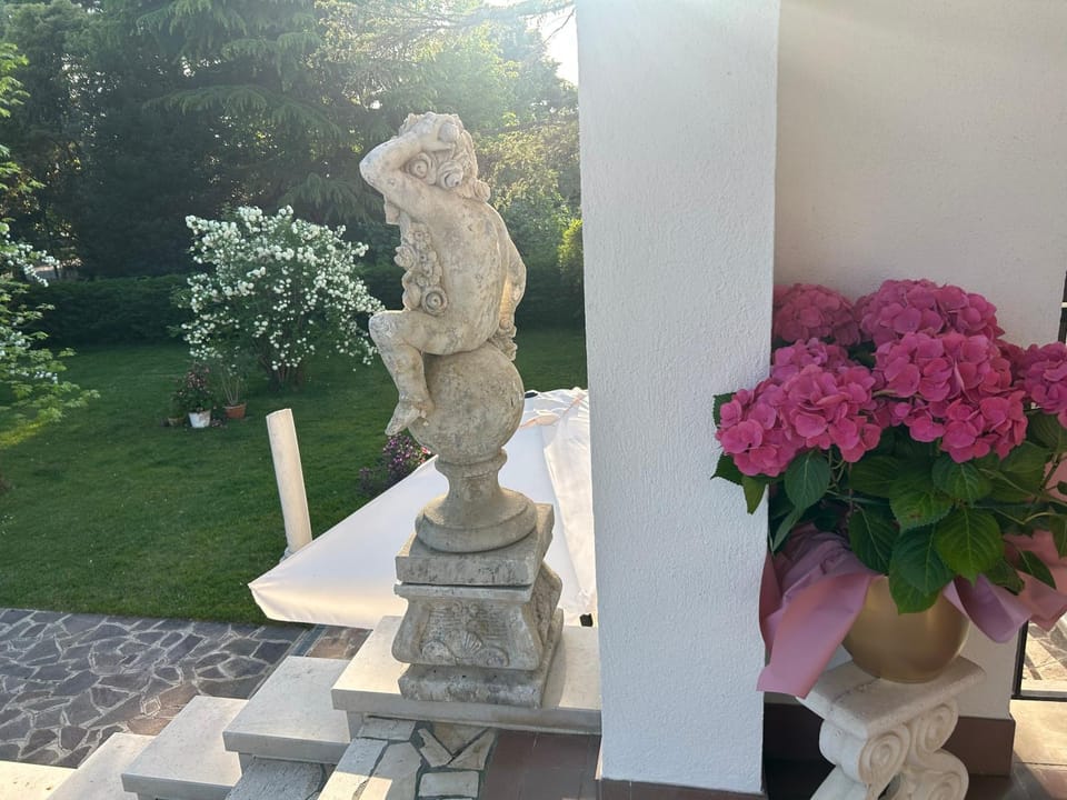 Spring, Garden