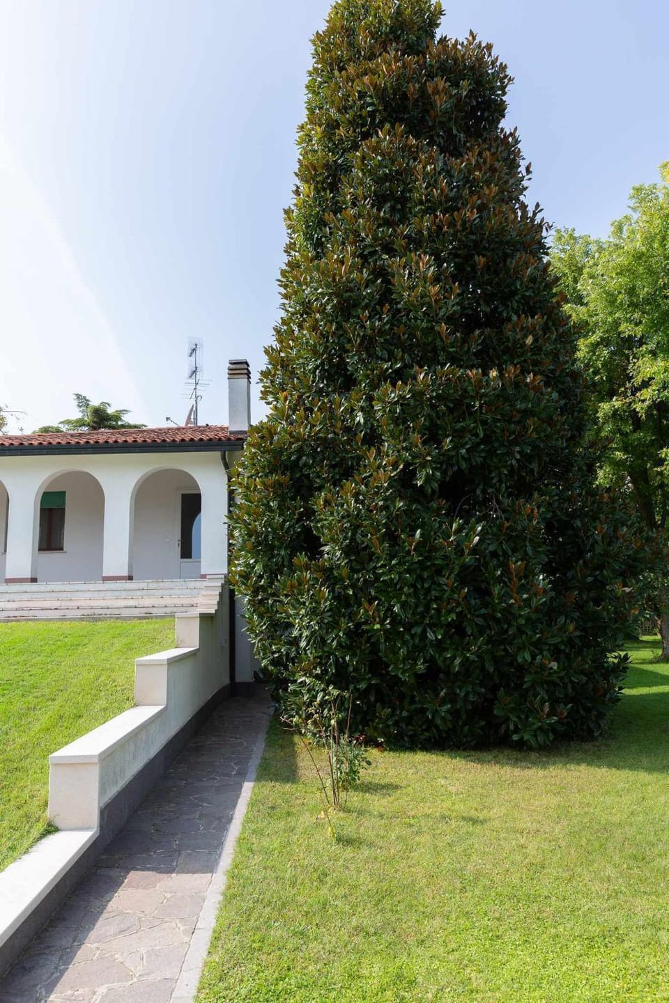 Property building, Garden view