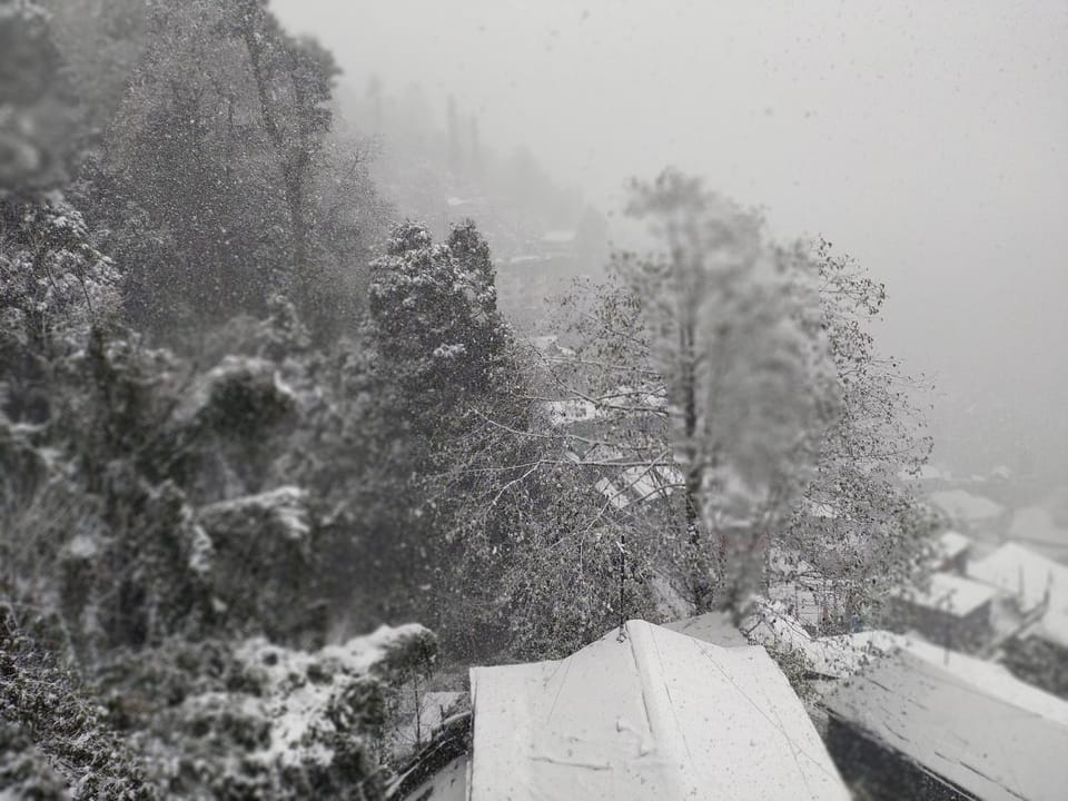 FRATERNITY HOMESTAY Vacation rental in Darjeeling