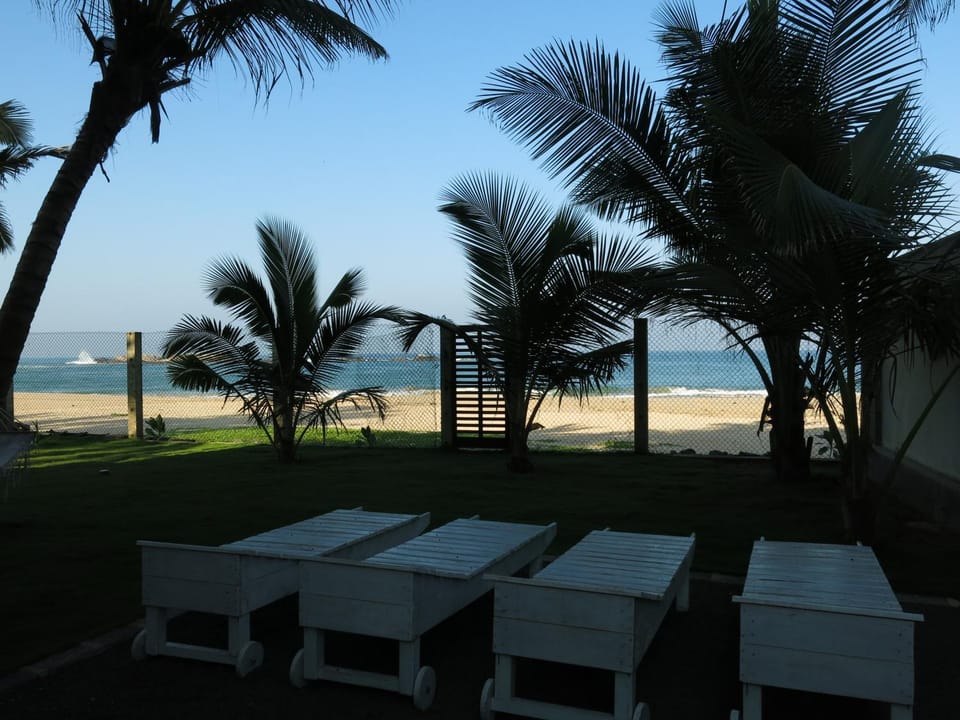 Garden, Beach, Sea view