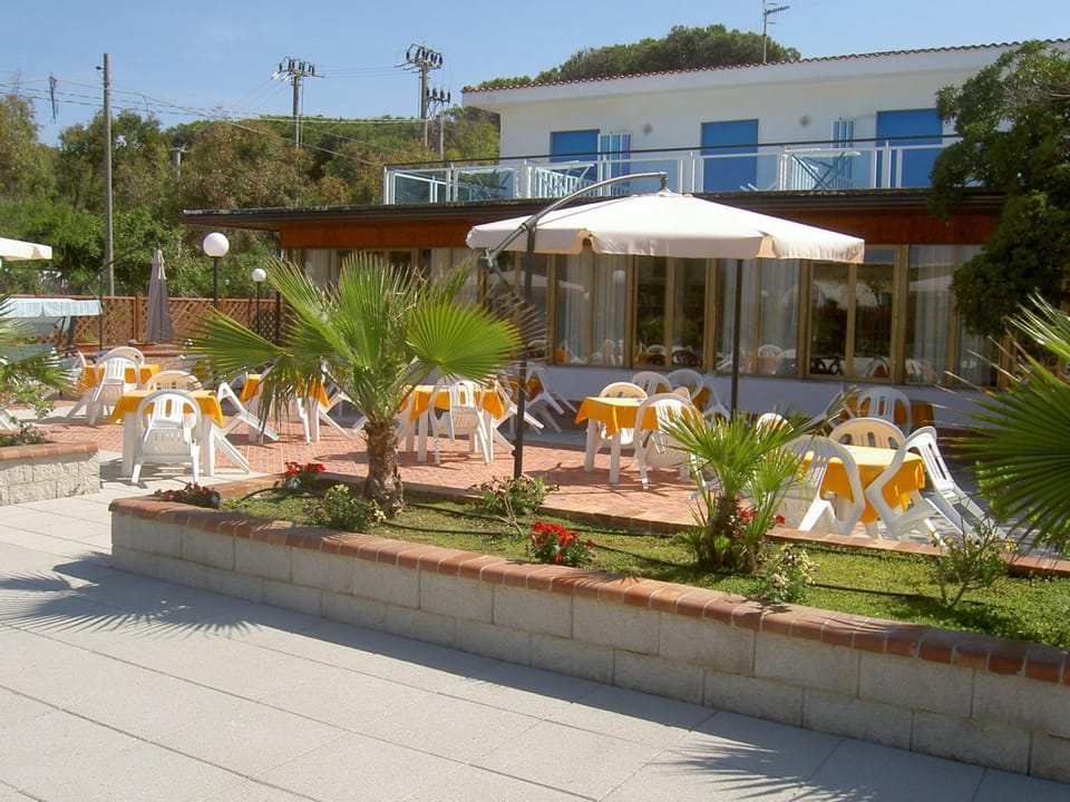 Patio, Day