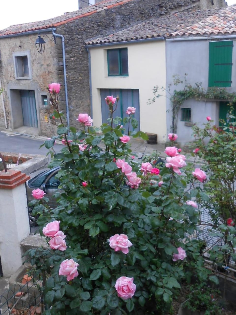 Day, Garden view, Street view, Quiet street view
