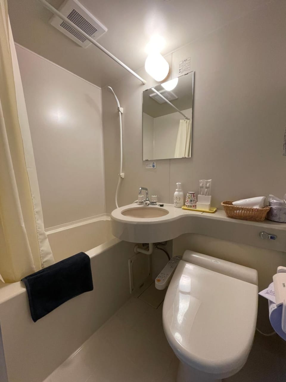 Shower, Toilet, Bathroom, Bath