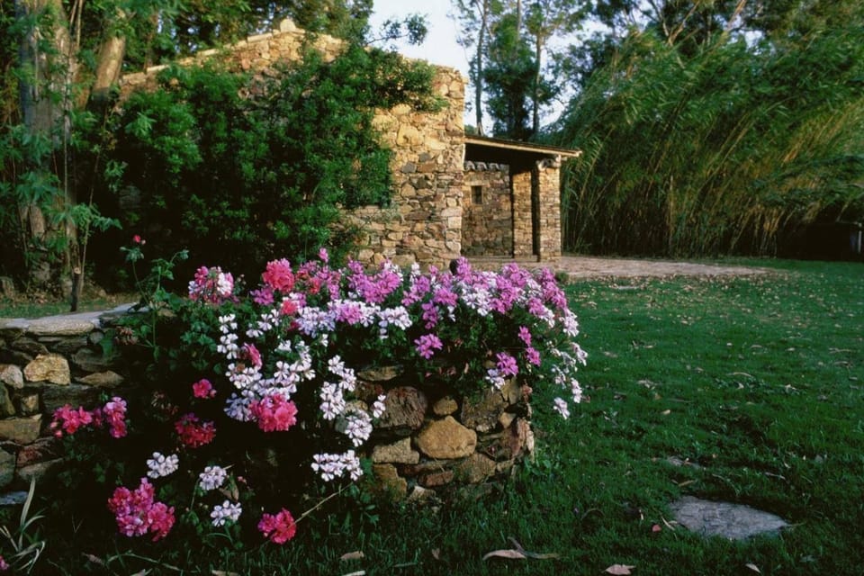 Bamboo House House in Sardinia