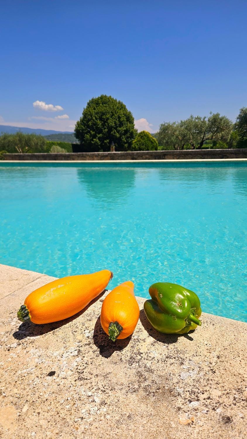 Natural landscape, Pool view, Swimming pool