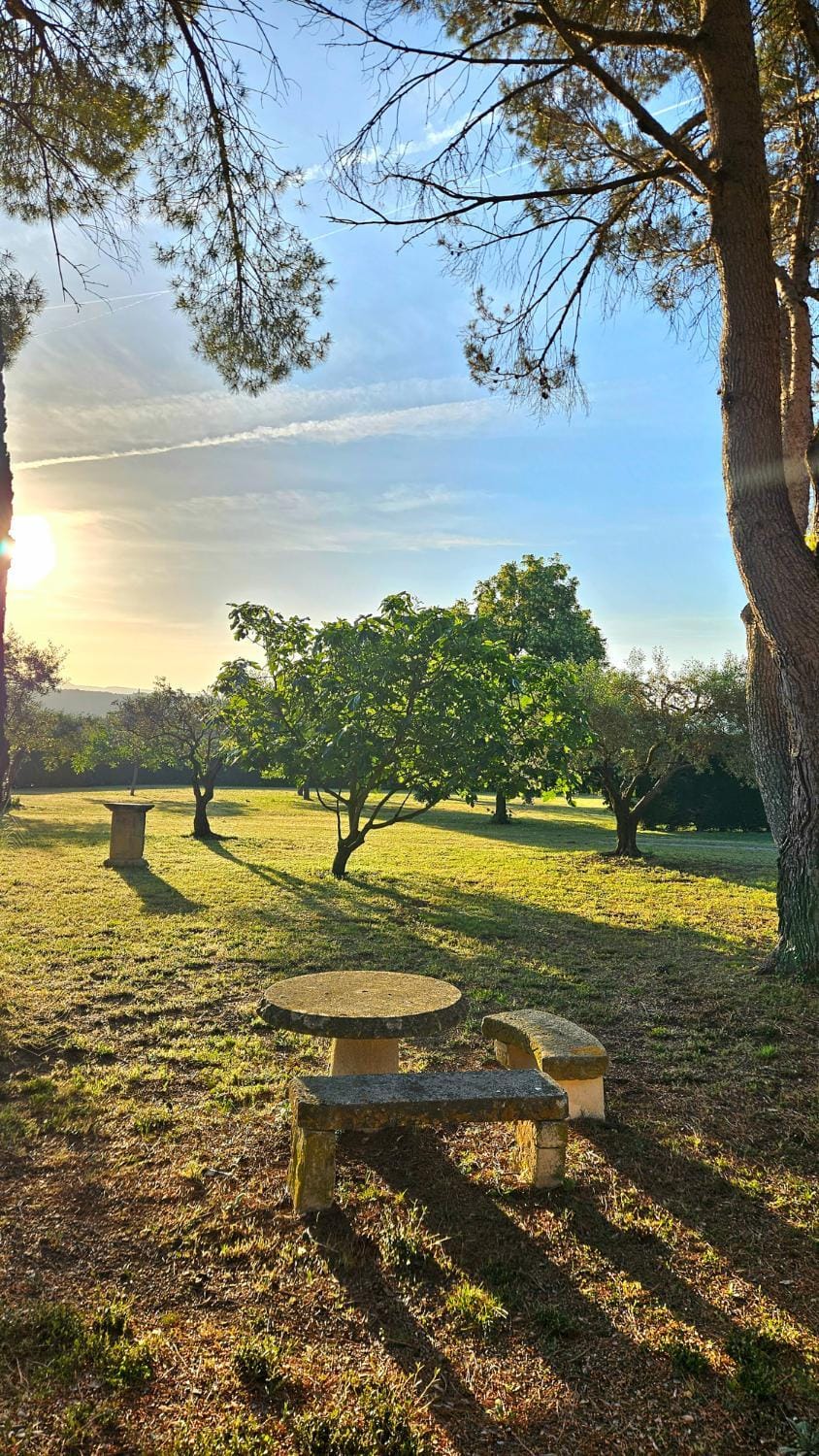 Natural landscape, Garden, Garden view, Area and facilities