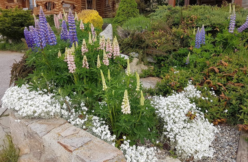 Spring, Garden