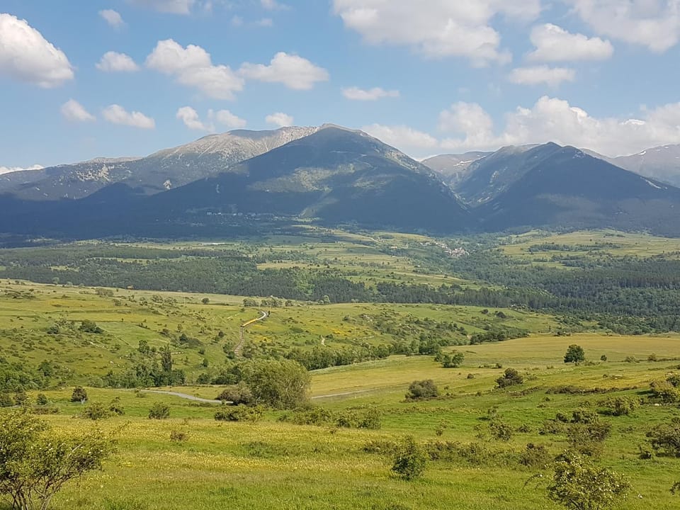 Spring, Mountain view