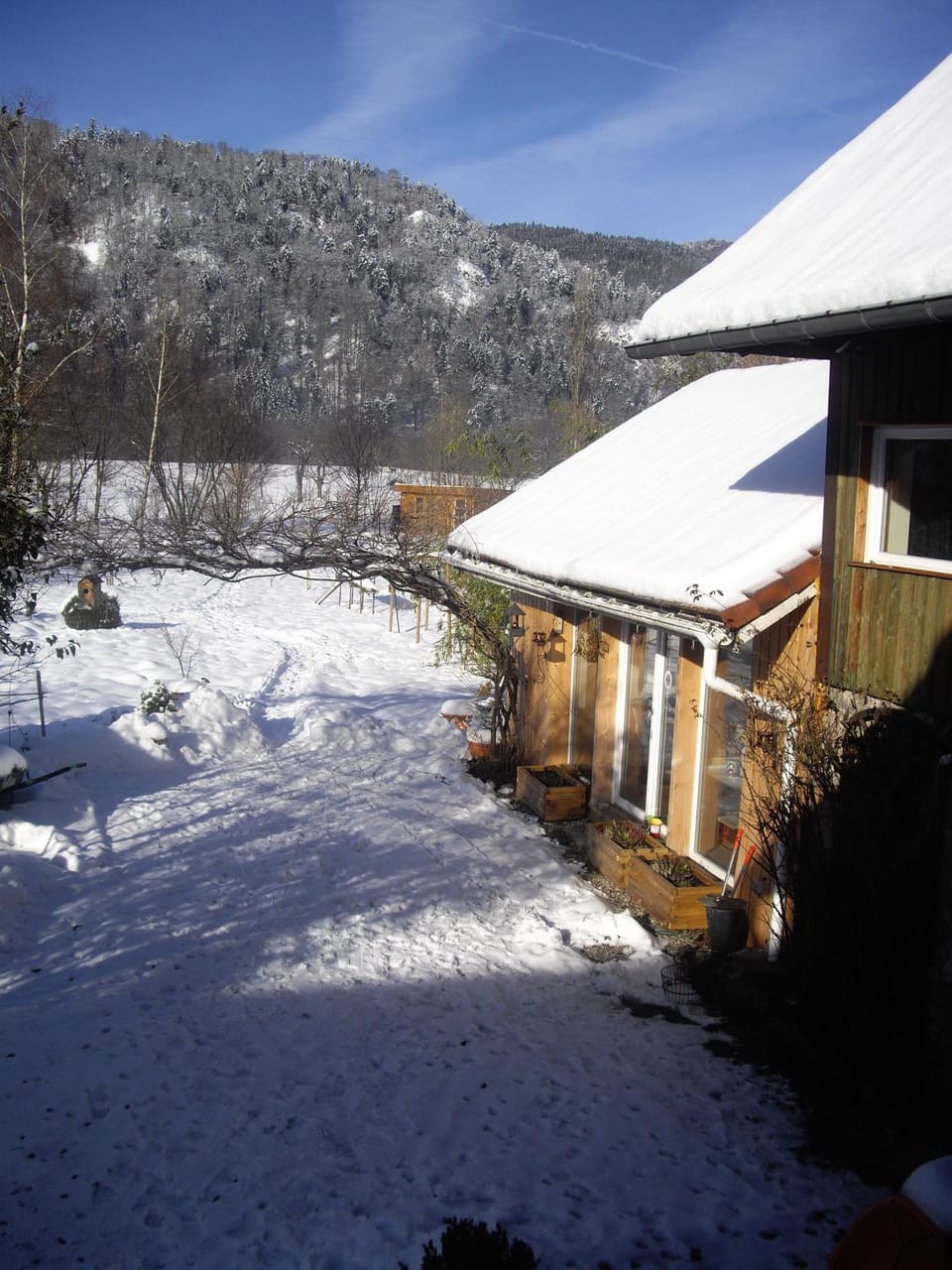 Winter