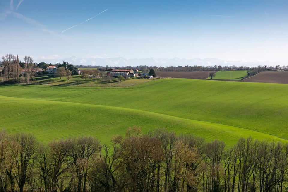 Day, Natural landscape, View (from property/room)