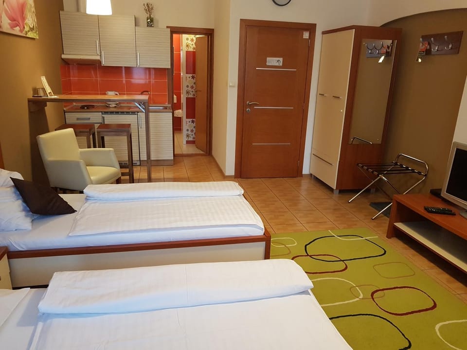 Alex Pension Bed and Breakfast in Slovakia
