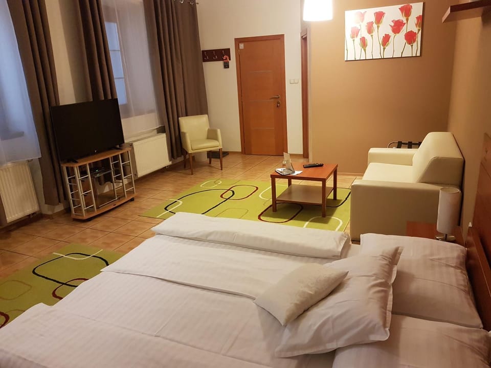 Alex Pension Bed and Breakfast in Slovakia