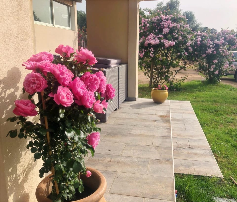 Facade/entrance, Spring, Day, Garden, Internal: Not applicable to any particular room