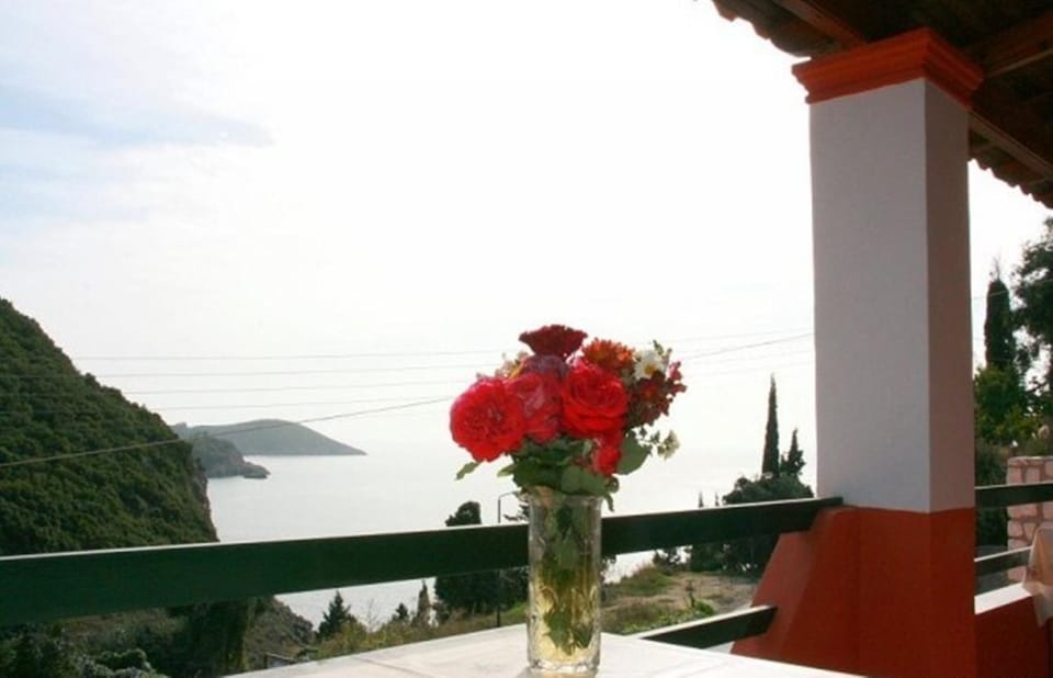 Day, Decorative detail, Sea view