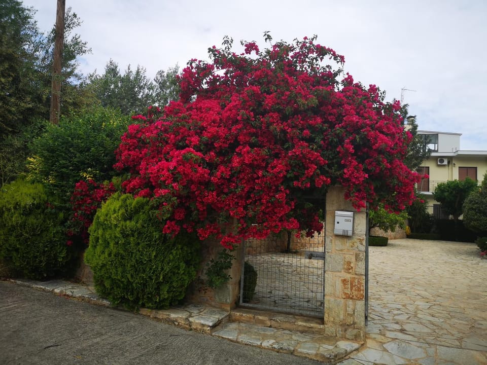 Hotel Patelis Apartment hotel in Arcadia, Greece