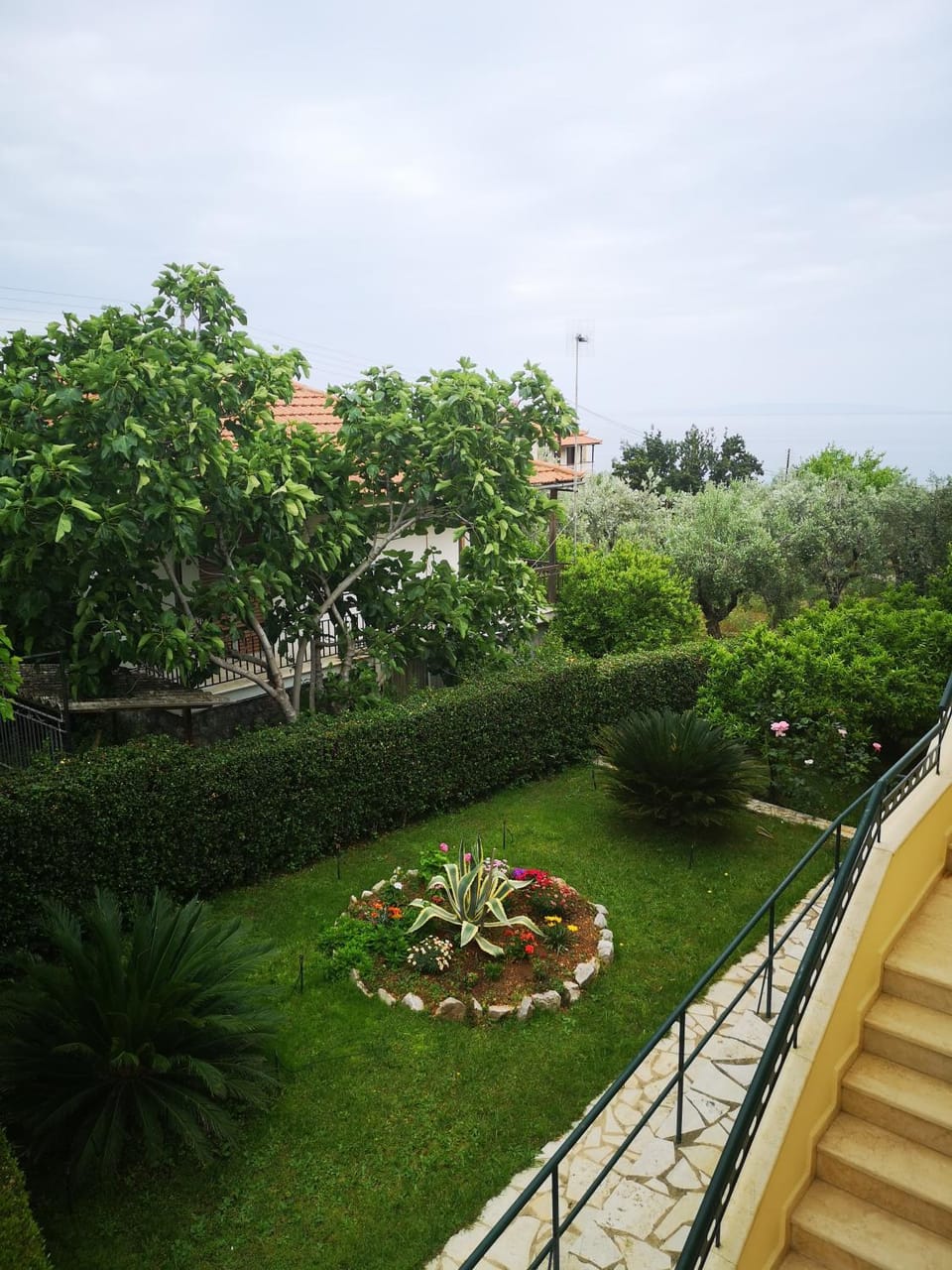 Garden view