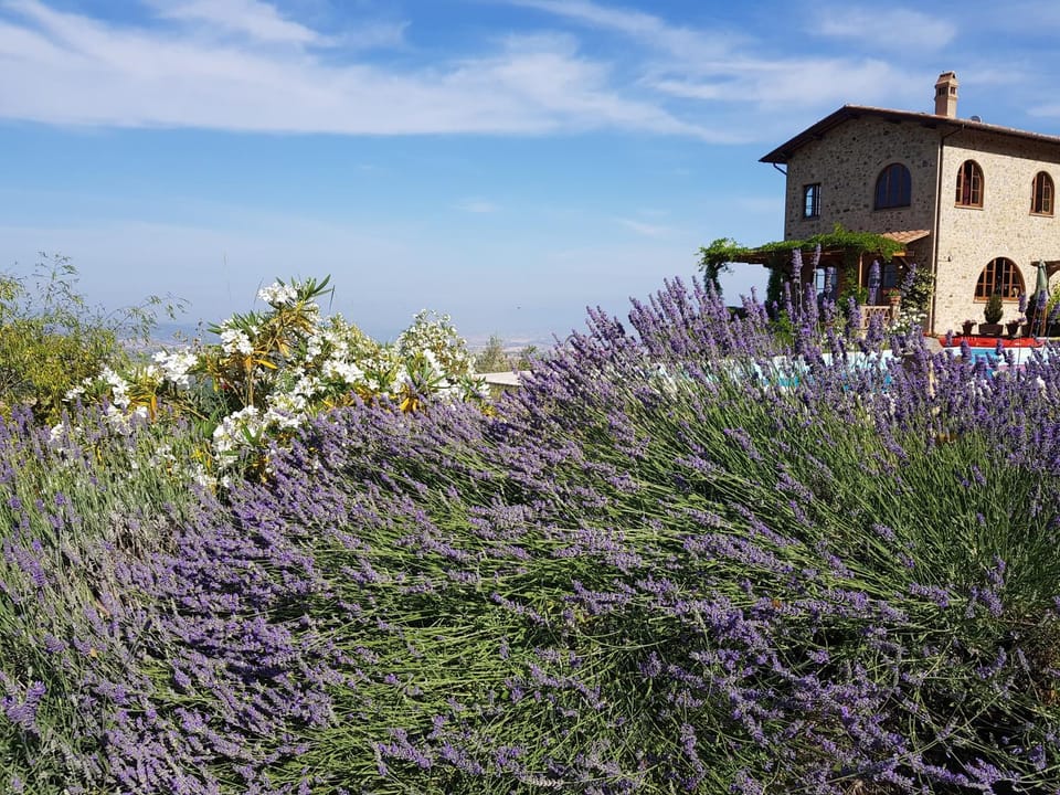 Villa Bella Costa Villa in Tuscany