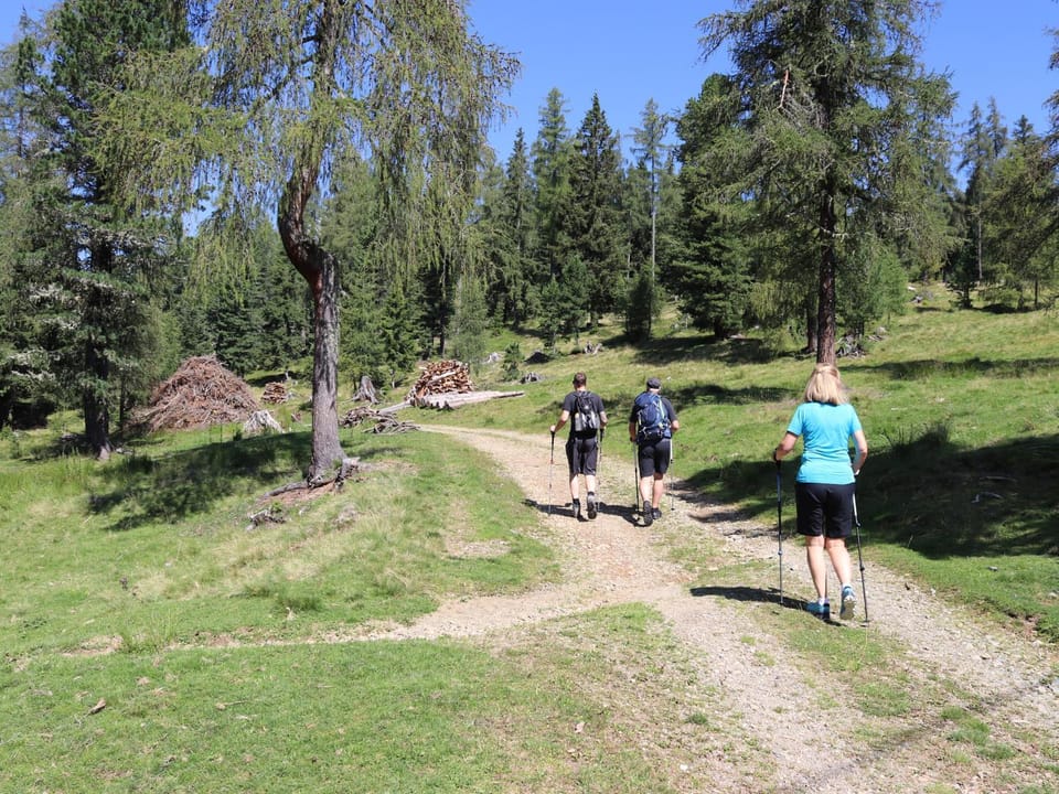 Natural landscape, Summer, Hiking