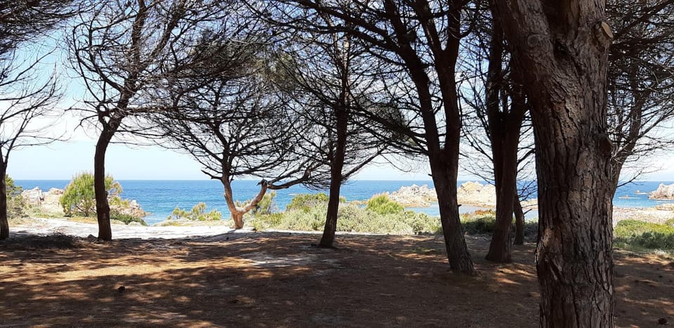 Natural landscape