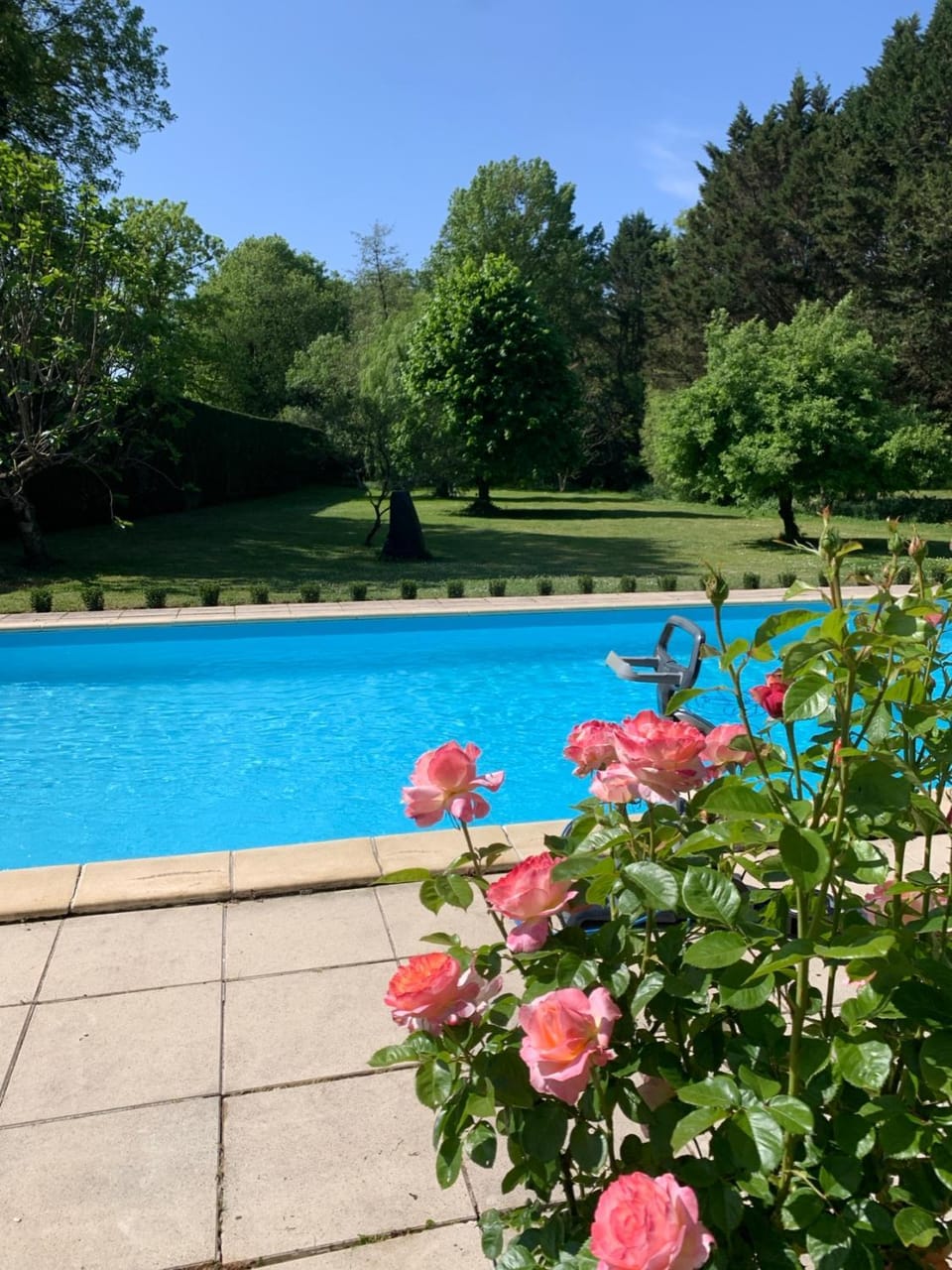 Garden, Pool view, Swimming pool