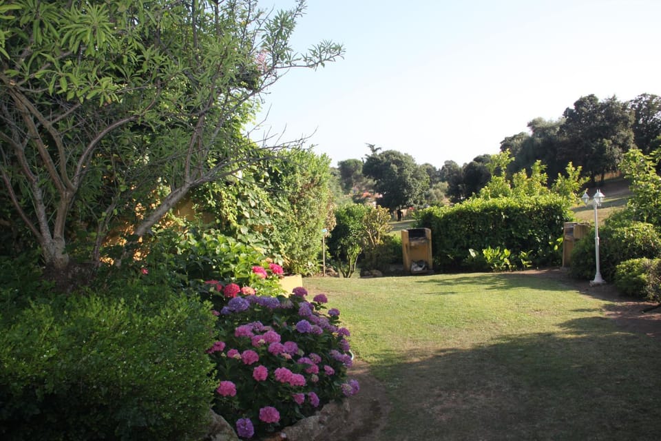 Garden, Garden