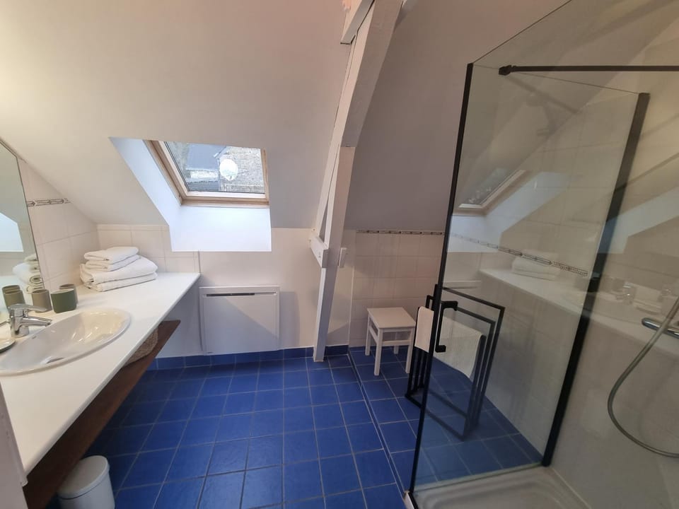Shower, Bathroom, towels