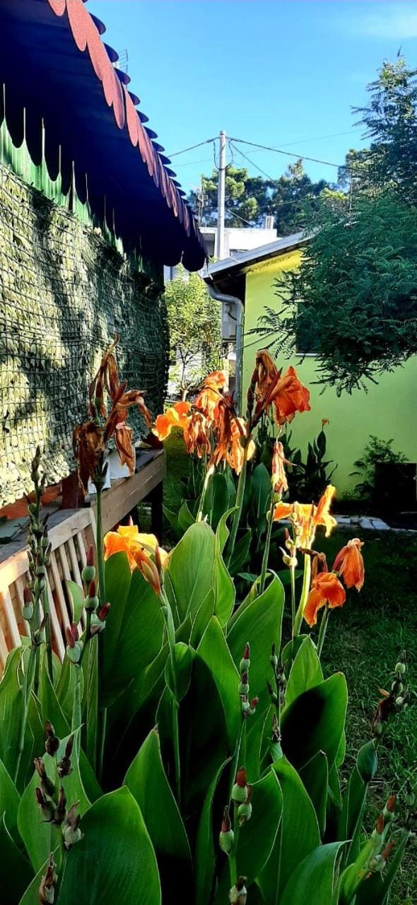 kolonia e artistave Vacation rental in Montenegro