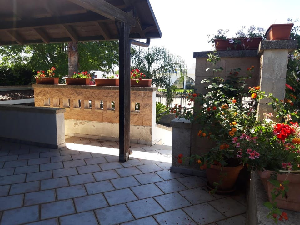 Patio, Facade/entrance