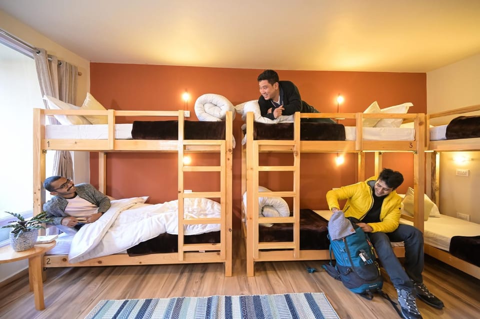 bunk bed