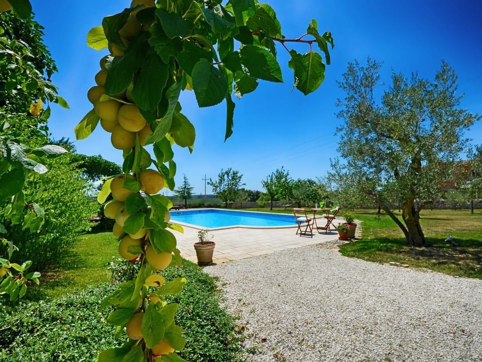 Patio, Garden, Garden, Garden view