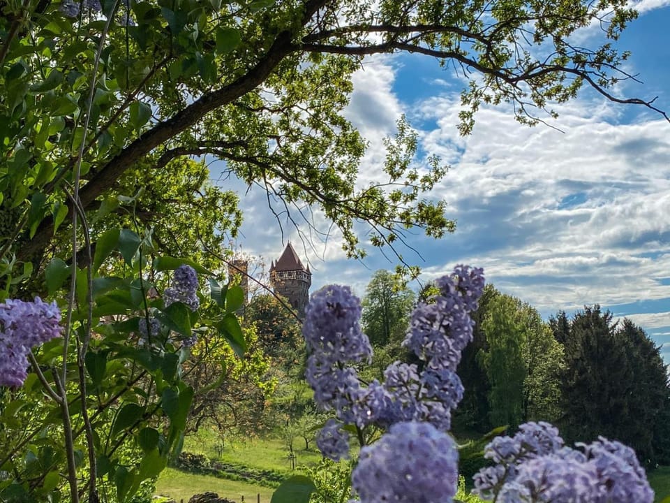 Spring, Off site, Day, Bird's eye view, Summer